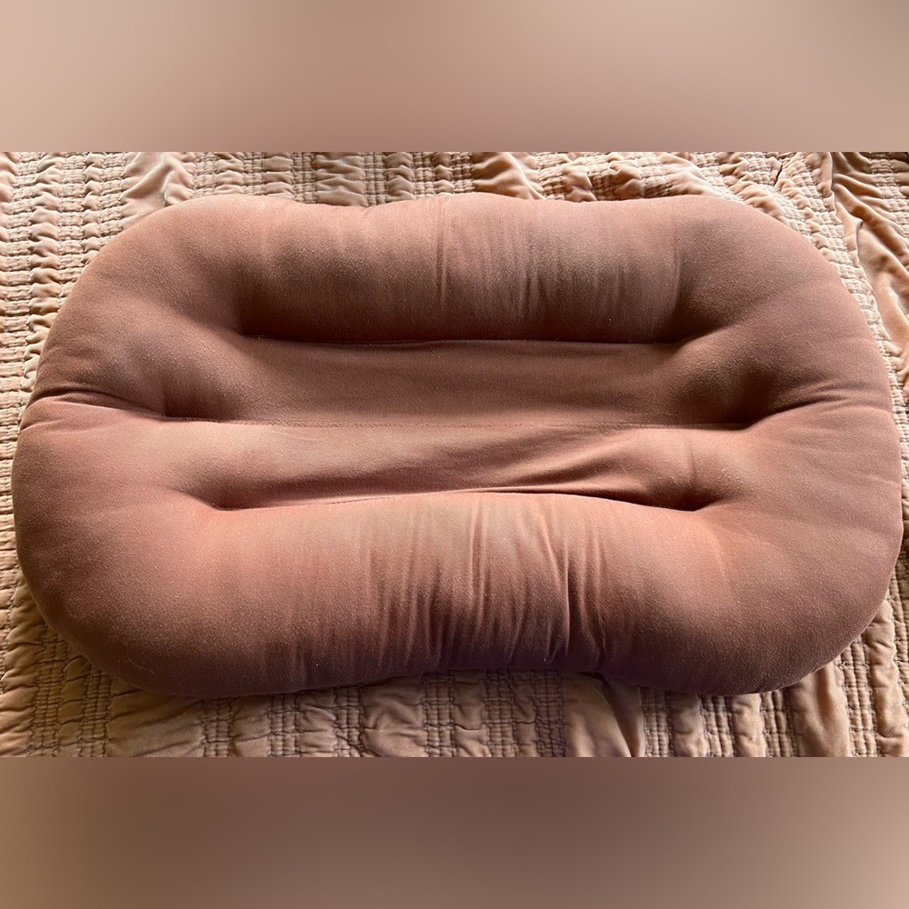 Brown Textured Skin-Like Surface